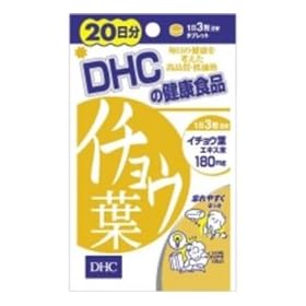 DHC 20�����C�`���E�t