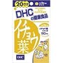 DHC 20�����C�`���E�t