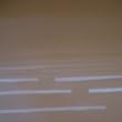 Slow With Pages of Fluttering Interference