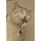 [�@�Q�O�P�P �L�G�{���L�{ ������. ]