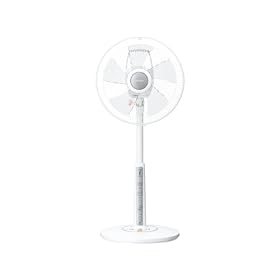 �O�H R30J-RM-S ���r���O�� (�v���~�A���V���o�[)