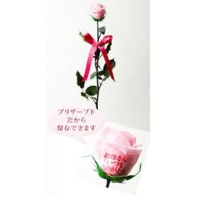 �y�s���̃v���U�[�u�h�ƁA���b�Z�[�W���[�Y���R���{���[�V�����I�z�v���U�[�u�h�E�G�^�[�i�� �{ �G�O�[�N�e�B�u�̌�