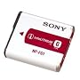 SONY ���`���[�W���u���o�b�e���[�p�b�N NP-FG1
