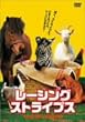���[�V���O�E�X�g���C�v�X [DVD]