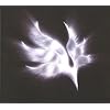 BUMP OF CHICKEN �worbital period�x