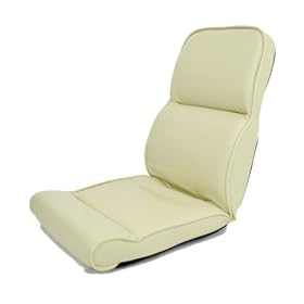 ���֎q �ᔽ�� �n�C�o�b�N�^�C�v TM�p���T�[ �x�[�W���F 6�i���N���C�j���O ���U�[