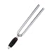 Planet Waves Tuning Fork ���� / A=440Hz