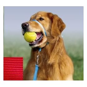 premier �W�F���g�����[�_�[(�N�C�b�N�����[�X) L���b�h GL Q BULK L RED