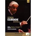 Sergiu Celibidache in Rehearsal & Performance [DVD] [Import]