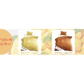 �D�� �I�ׂ�20�F �s���P�[�X �����^45x90cm �m�����K()�n