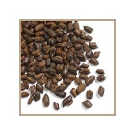 �n�u���i�����q �P�c���C�V�j500g