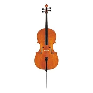 Amazon.co.jp: チェロ No.380 鈴木バイオリン: 楽器