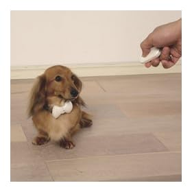 �g���[�j���O�y���_���g MBB-R1-WH �z���C�g ��38322��