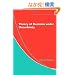 Theory of Decision under Uncertainty (Econometric Society Monographs)