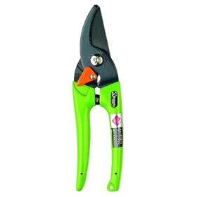 �T�{�e�� ���f�B�[�X������ �O���[��