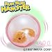 RUNRUN HAMSTER(���������n���X�^�[)