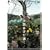 �V���͂܂����� [DVD]
