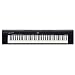 YAMAHA �|�[�^�u���O�����h NP-30
