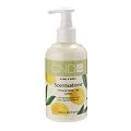 �b�m�c �Z���Z�[�V���� �n���h&�{�f�B���[�V���� �V�g���X���O���[���e�B�[ 245ml
