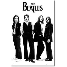 �r�[�g���Y�@�|�X�^�[/White/ APO-3316