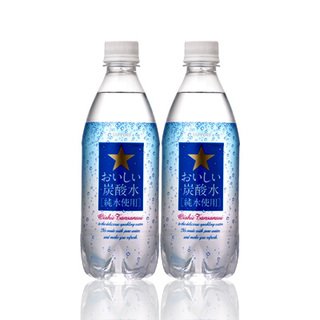 サッポロおいしい炭酸水ペット500ml×24 本×2セット
