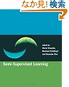 Semi-Supervised Learning (Adaptive Computation and Machine Learning series)