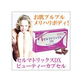 �Z���}�g���b�N�XDX �r���[�e�B�[�J�v�Z��20������