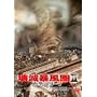 ��Ŗ\����II/�J�e�S���[7 [DVD]