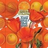 [Music] That Lucky Old Sun (CD/DVD)