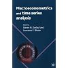 Macroeconometrics and Time Series Analysis (The New Palgrave Economics Collection)