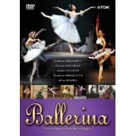 BALLERINA �}���C���X�L�[�E�o���G�̃~���[�Y���� [DVD]