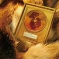 SINGLE COLLECTION-2006~2008-~A side trax~
