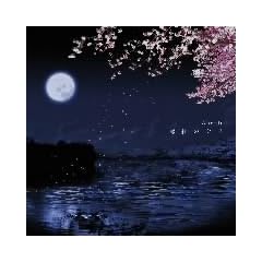 ���g�̌���(��������)(DVD�t)