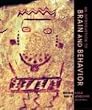 An Introduction To Brain And Behavior