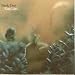 Katy Lied