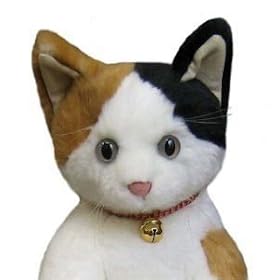 Cuddly���t�ʂ������49cm