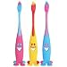 TOOTH BRUSH �u�J���t�����u���V 3�Z�b�g�v�c�[�g��C