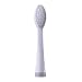 Chris Berry �g�тł��� ���g���d�����u���V POCKET BRUSH (�|�P�b�g�E�u���b�V��) CHD101 �p�ւ��u���V2�{���� CHDA101