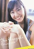 [Book] 新垣結衣 2008年カレンダー