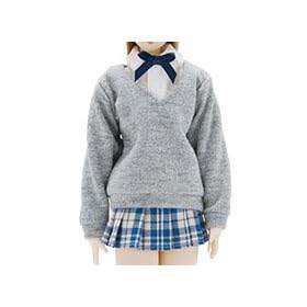 1/6 �X�N�[���Z�[�^�[(�O���[)