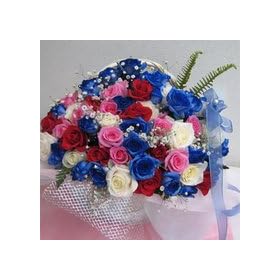 ���o���̃L���L���A�����W�����g���s���N�T�t�@�C�A���v���`�i�@�y���ԁz�y���j���z�L�O���z�y�a�����z�y�t�����[�M�t�g�z�y�o���z