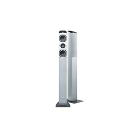 JBL �g�[���{�[�C�X�s�[�J�[ TZ-2�i�y�A�j