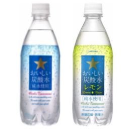 サッポロ おいしい炭酸水(プレーン、レモン)各24本 合計48本セット