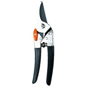 �T�{�e�� �v���^�C�v������ No.1255