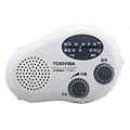 TOSHIBA �h���[�d���W�I CUTEBEAT TY-JR11(W)