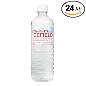 �A�C�X�t�B�[���h 500ml�~24�{