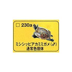 �H�� �^�J�� �`���RQ ���{�̓��� ��10�e 230a.�~�V�V�b�s�A�J�~�~�K��(��)�ʏ�F�ő�