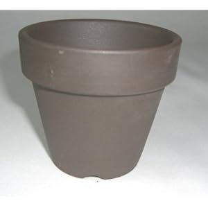 【クリックで詳細表示】黒鉢 硬質素焼き鉢 2.5号 10枚セット 水草 ジュエルオーキッドに最適