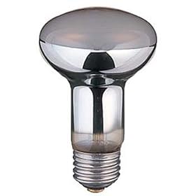 ���t�����v 100W�` RF110V95WM