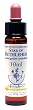 �q�[�����O�n�[�u�X  �t�����[�G�b�Z���X �X�^�[�I�u�x�c���w�� 10ml